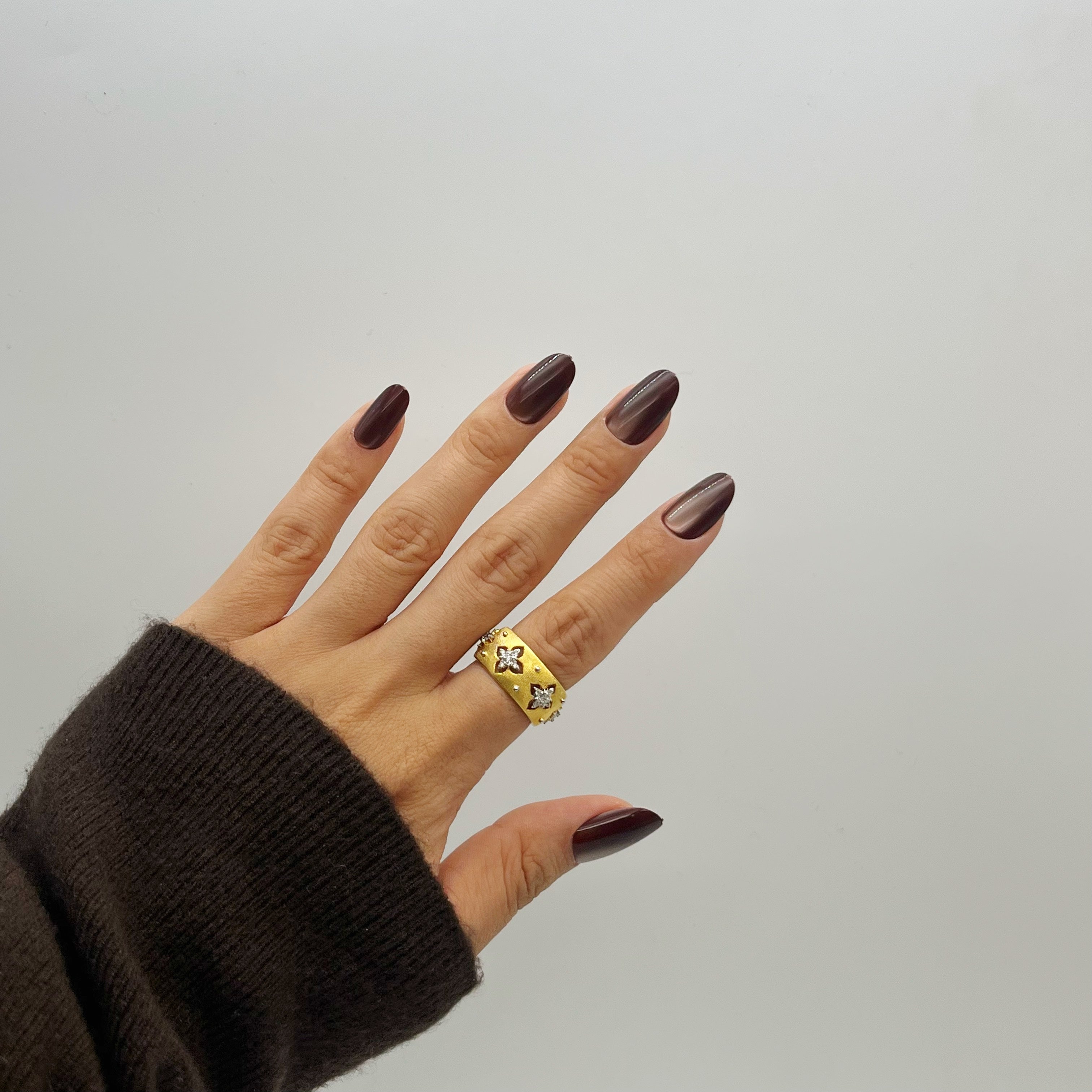 ZARIAH's CAT-EYE Siamese - Zariah's