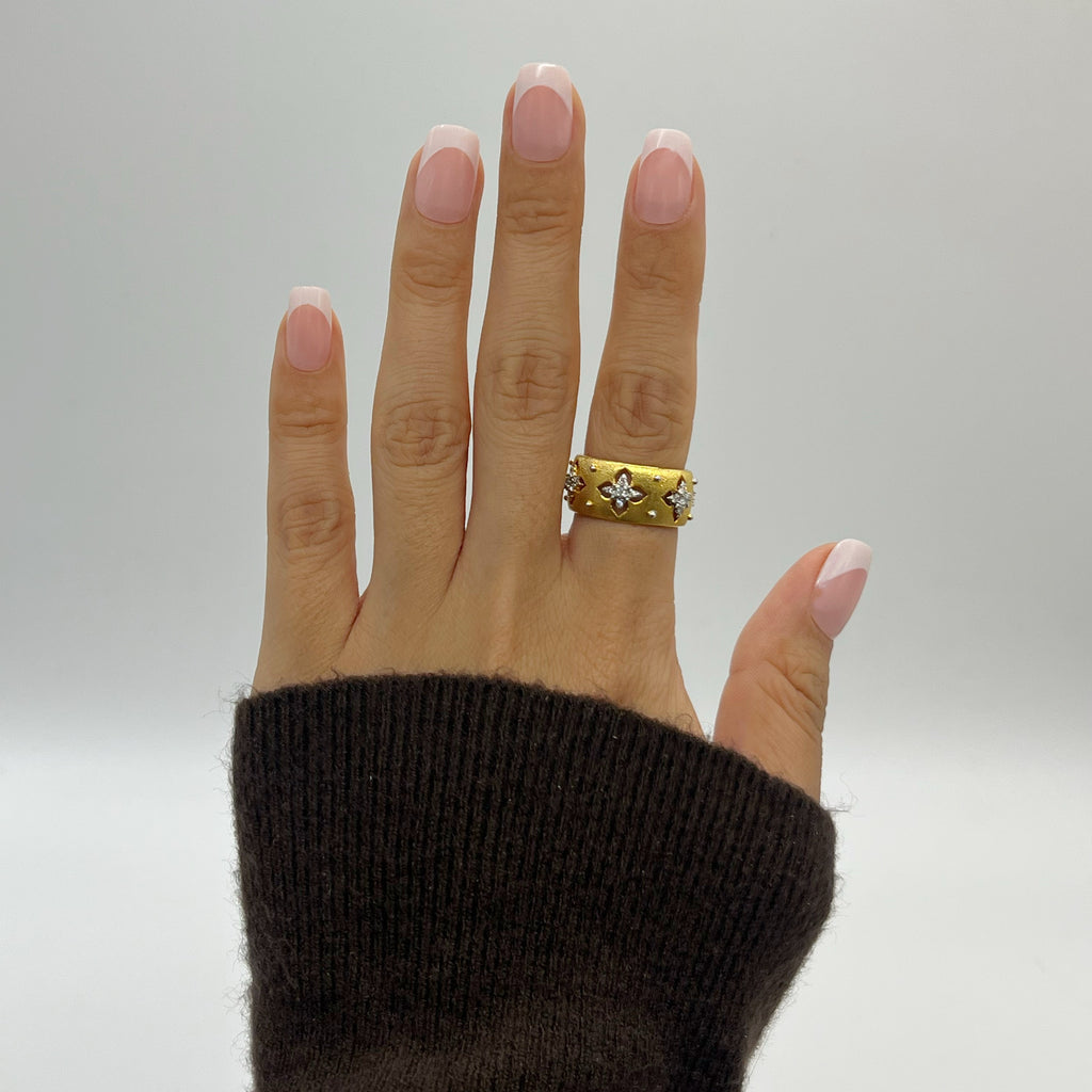 ZARIAH's Classic French Tip